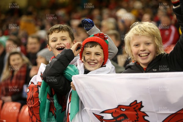 301119 - Wales v Barbarians - Wales fans
