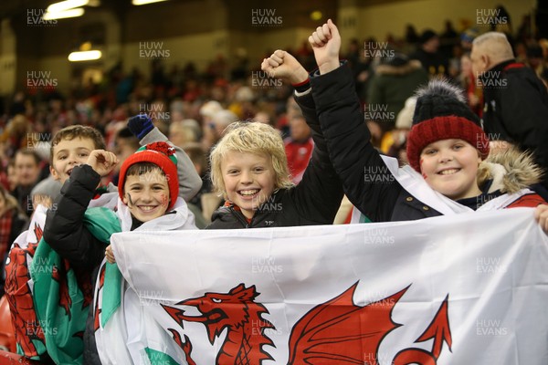 301119 - Wales v Barbarians - Wales fans