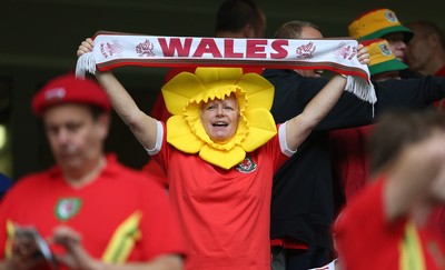 Wales v Belgium 010716