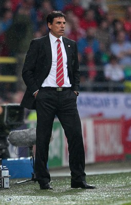 120615 - Wales v Belgium - UEFA European Qualifier - Wales manager Chris Coleman