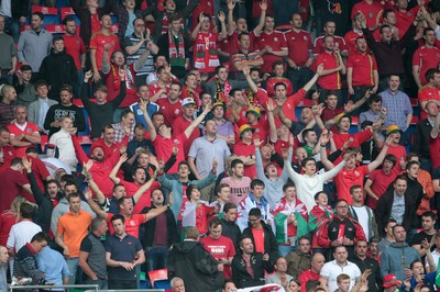 120615 - Wales v Belgium - UEFA European Qualifier - Wales fans