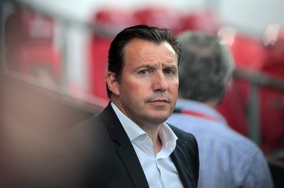 120615 - Wales v Belgium - UEFA European Qualifier - Belgium Manager Marc Wilmots