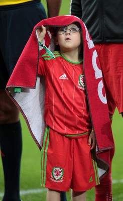 120615 - Wales v Belgium - UEFA European Qualifier - Wales mascot shelters from the rain