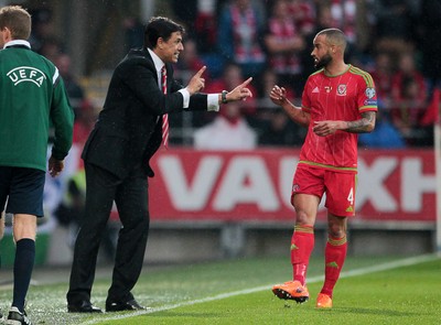 120615 - Wales v Belgium - UEFA European Qualifier - Wales manager Chris Coleman talks to Ashley Richards of Wales