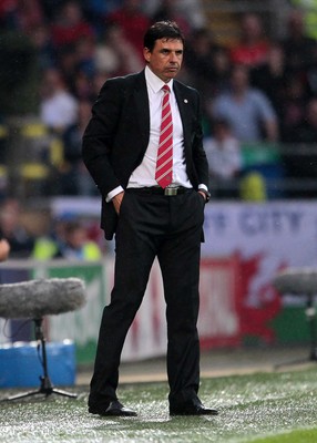 120615 - Wales v Belgium - UEFA European Qualifier - Wales manager Chris Coleman