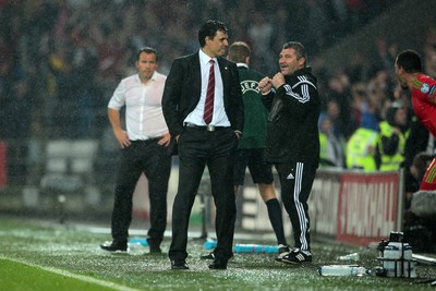 120615 - Wales v Belgium - UEFA European Qualifier - Wales manager Chris Coleman celebrates at full time