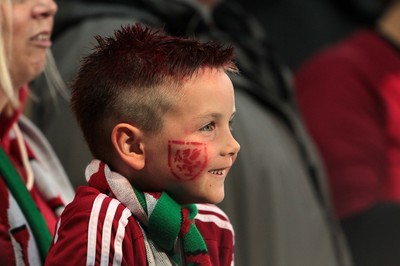 120615 - Wales v Belgium - UEFA European Qualifier - Young Wales fan watches the game