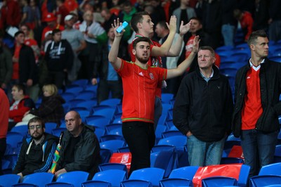 120615 - Wales v Belgium - UEFA European Qualifier - Wales fans celebrate the win
