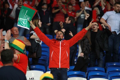 120615 - Wales v Belgium - UEFA European Qualifier - Wales fans celebrate the win