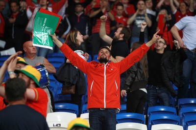 120615 - Wales v Belgium - UEFA European Qualifier - Wales fans celebrate the win