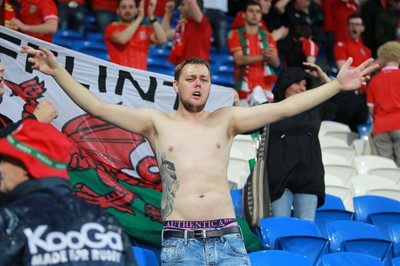 120615 - Wales v Belgium - UEFA European Qualifier - Wales fans celebrate the win