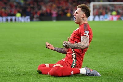 Wales v Belgium 131025