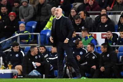 260326 - Wales v Bosnia-Herzegovina - 2026 FIFA World Cup Qualifying - Play-off Semi-final - Sergej Barbarez, Bosnia Manager