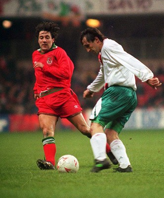 Wales v Bulgaria 141294