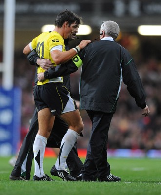 14.11.08 - Wales v Canada -  Invesco Perpetual Series 2008 - Wales' James Hook is helped from the field with an injury.  