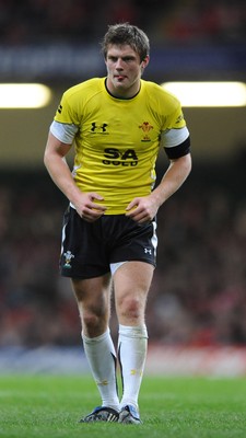 14.11.08 - Wales v Canada -  Invesco Perpetual Series 2008 - Wales' Dan Biggar in action.  