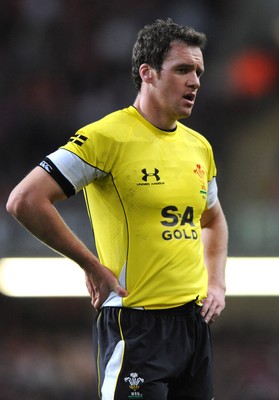 14.11.08 - Wales v Canada -  Invesco Perpetual Series 2008 - Wales' Mark Jones. 