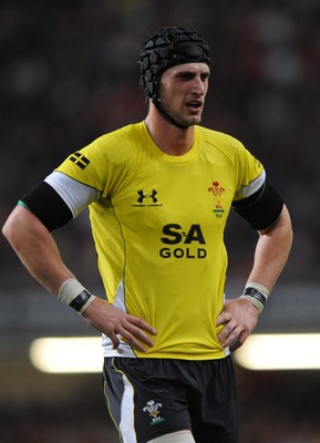 14.11.08 - Wales v Canada -  Invesco Perpetual Series 2008 - Wales' Luke Charteris. 