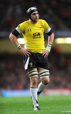 14.11.08 - Wales v Canada -  Invesco Perpetual Series 2008 - Wales' Ryan Jones. 