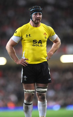 14.11.08 - Wales v Canada -  Invesco Perpetual Series 2008 - Wales' Ian Gough. 