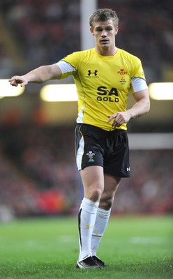 14.11.08 - Wales v Canada -  Invesco Perpetual Series 2008 - Wales' Dwayne Peel. 