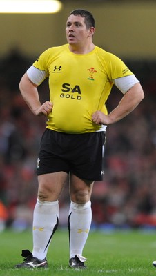 14.11.08 - Wales v Canada -  Invesco Perpetual Series 2008 - Wales' Eifion Roberts. 