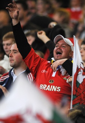 14.11.08 - Wales v Canada -  Invesco Perpetual Series 2008 - Wales fans 