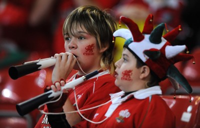 14.11.08 - Wales v Canada -  Invesco Perpetual Series 2008 - Wales fans 