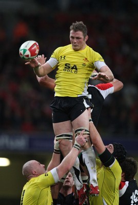 14.11.08 ... Wales v Canada, Invesco Perpetual International 2008 Wales' Dafydd Jones claims lineout ball 