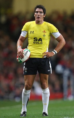14.11.08 ... Wales v Canada, Invesco Perpetual International 2008 Wales' James Hook   