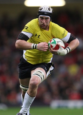 14.11.08 ... Wales v Canada, Invesco Perpetual International 2008 Wales' Ryan Jones  