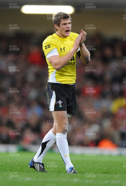 14.11.08 - Wales v Canada -  Invesco Perpetual Series 2008 - Wales' Dan Biggar in action.  
