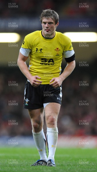 14.11.08 - Wales v Canada -  Invesco Perpetual Series 2008 - Wales' Dan Biggar in action.  