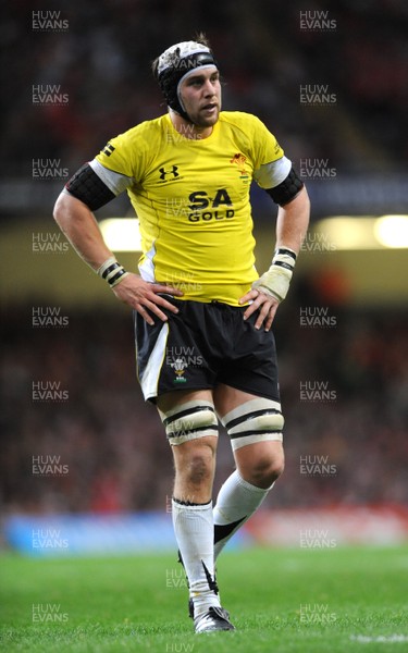 14.11.08 - Wales v Canada -  Invesco Perpetual Series 2008 - Wales' Ryan Jones. 