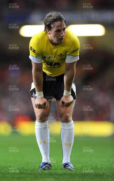 14.11.08 - Wales v Canada -  Invesco Perpetual Series 2008 - Wales' Martin Roberts. 