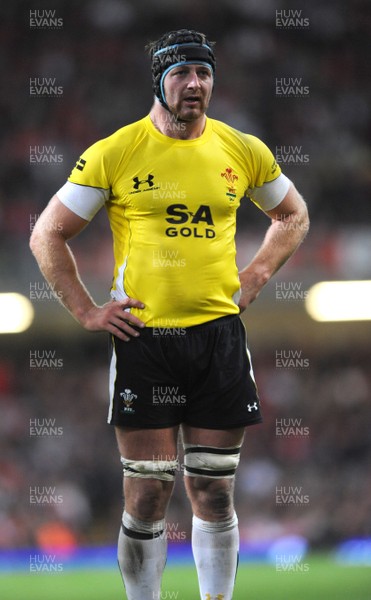 14.11.08 - Wales v Canada -  Invesco Perpetual Series 2008 - Wales' Ian Gough. 