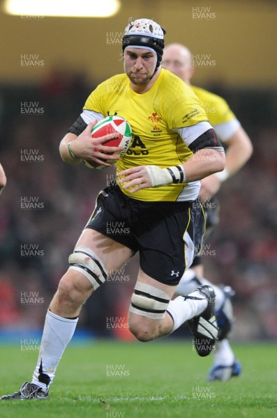 14.11.08 - Wales v Canada -  Invesco Perpetual Series 2008 - Wales' Ryan Jones. 