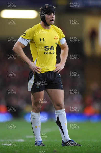 14.11.08 - Wales v Canada -  Invesco Perpetual Series 2008 - Wales' Leigh Halfpenny. 