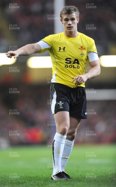 14.11.08 - Wales v Canada -  Invesco Perpetual Series 2008 - Wales' Dwayne Peel. 