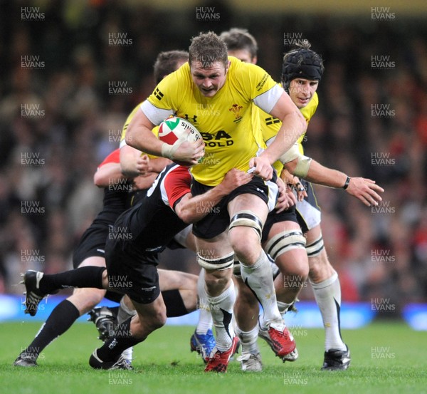 14.11.08 - Wales v Canada -  Invesco Perpetual Series 2008 - Wales' Dafydd Jones. 