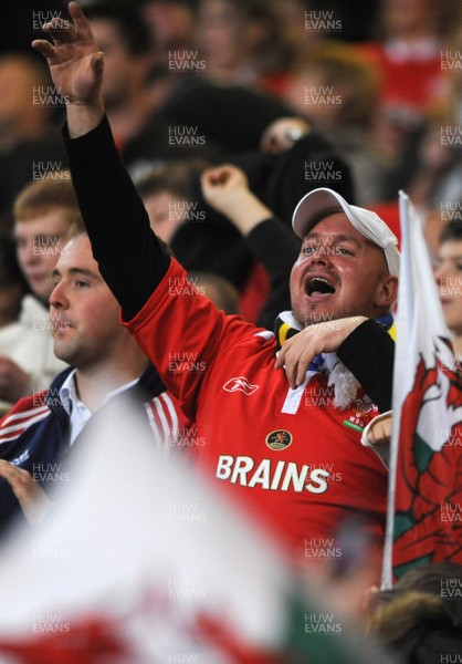 14.11.08 - Wales v Canada -  Invesco Perpetual Series 2008 - Wales fans 