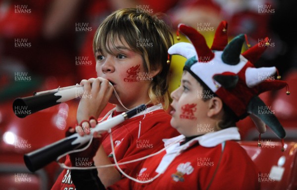14.11.08 - Wales v Canada -  Invesco Perpetual Series 2008 - Wales fans 
