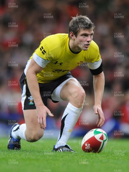 14.11.08 - Wales v Canada -  Invesco Perpetual Series 2008 - Wales' Dan Biggar 