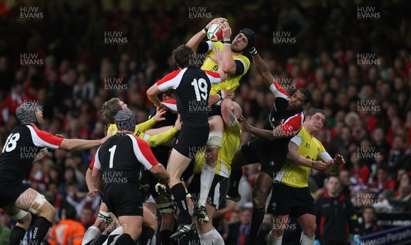 14.11.08 ... Wales v Canada, Invesco Perpetual International 2008 Wales' Luke Charteris claims lineout ball 