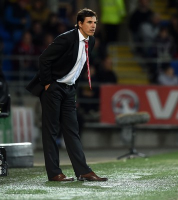 131014 - Wales v Cyprus - UEFA European Championship - Wales Manager Chris Coleman