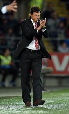 131014 - Wales v Cyprus - UEFA European Championship - Wales Manager Chris Coleman