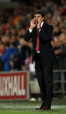 131014 - Wales v Cyprus, UEFA European Championship Qualifier - Wales' manager Chris Coleman