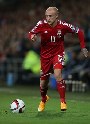 131014 - Wales v Cyprus, UEFA European Championship Qualifier - Wales' David Cotterrill