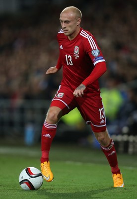 131014 - Wales v Cyprus, UEFA European Championship Qualifier - Wales' David Cotterrill