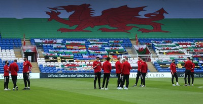 Wales v Czech Republic 300321